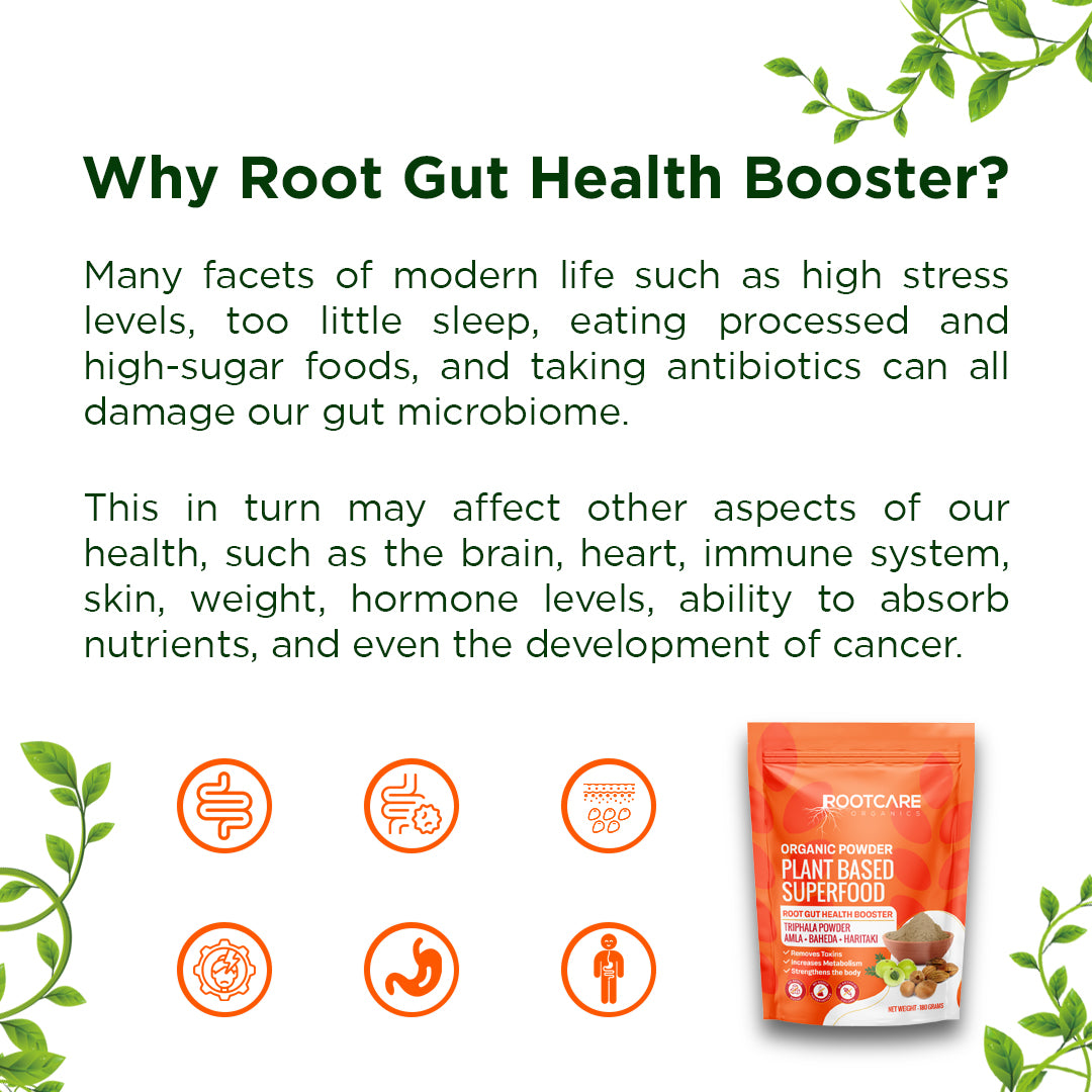 Root Gut Health Booster Powder